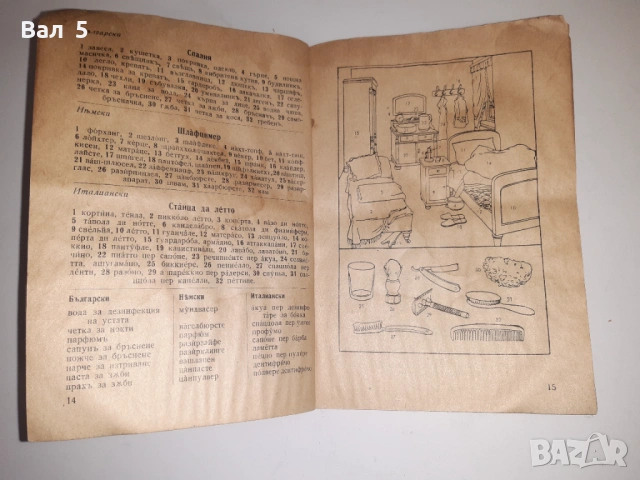 Рядък илюстрован разговорник , речник Царство Б- я, снимка 5 - Специализирана литература - 53664709