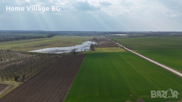 Парцел село Козлодуйци, област Добрич, снимка 13 - Парцели - 53266830