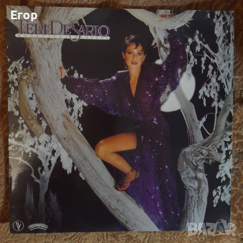 Диско плочи, снимка 7 - Грамофонни плочи - 53598445