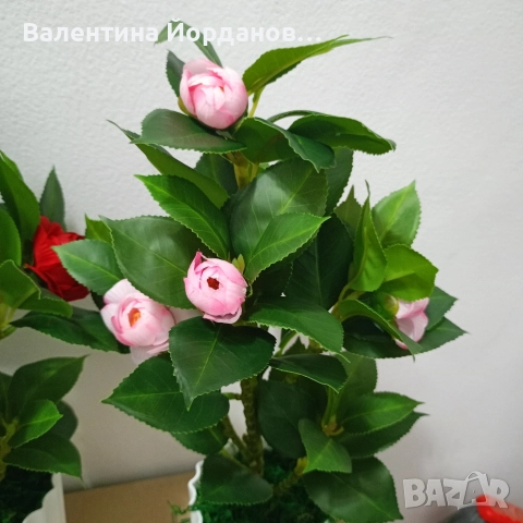 реалистични изкуствени камелии , снимка 2 - Декорация за дома - 52892713