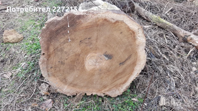 Шайби от орех, снимка 7 - Други - 51118755