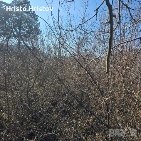 Продавам дървена вила над Белия кон и Рай, снимка 4 - Вили - 53897164