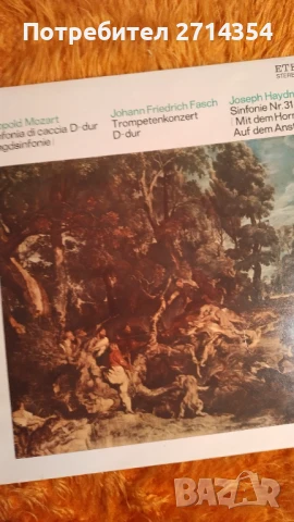 Плочи класическа музика , снимка 7 - Грамофонни плочи - 50461925