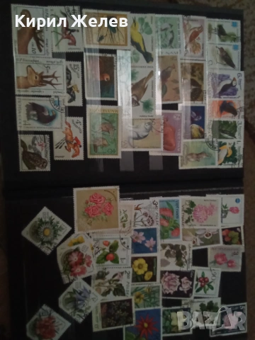 Албум с пощенски марки 54090, снимка 6 - Филателия - 53750570