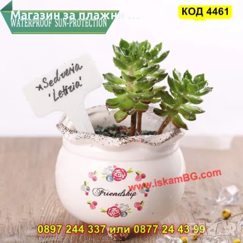 Комплект пластмасови табелки за растения - 100бр - КОД 4461, снимка 11 - Градински цветя и растения - 49758871