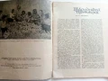 Списание " Родна реч " - 1961г.  брой 10, снимка 3