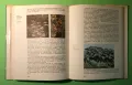 Стара Книга Атлас по Ботаника/Сл.Петров,Е.Паламарев, снимка 12