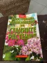 илюстрована енциклопедия на стайните растения-8лв, снимка 1