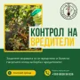 Озеленяване и ландшафтно проектиране, снимка 4