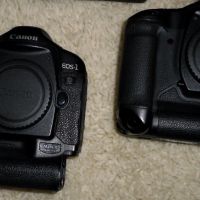 Фотоапарати DSLR Canon EOS 1D Mark II - 2бр, снимка 2 - Фотоапарати - 45525435