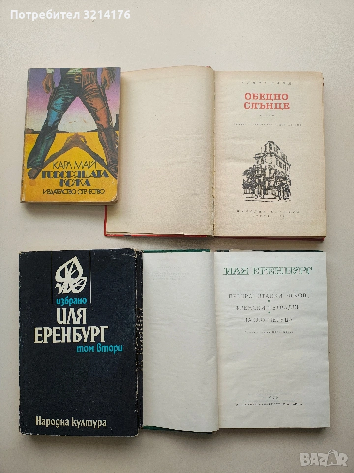 Обедно слънце - Алина Пайм, снимка 1