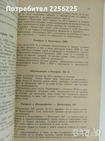 Ръководство по лозарство 1948г, снимка 4 - Специализирана литература - 51112806