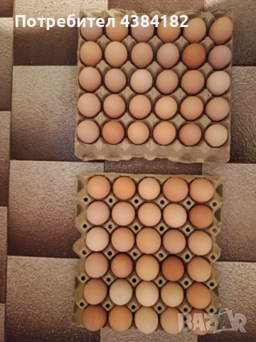 Продавам домашни яйца , снимка 4 - Домашни продукти - 53412835