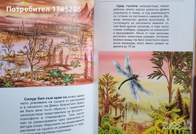 Лот енциклопедии за 20 евро, снимка 3 - Енциклопедии, справочници - 52955689