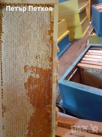 Пчелен мед, снимка 2 - Домашни продукти - 52216302