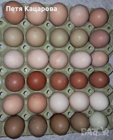 Продавам яйца