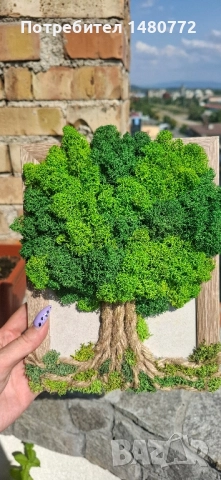 Дърво в рамка със скандинавски мъх, снимка 11 - Декорация за дома - 48071745