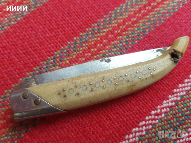 Ножка сойка 3 