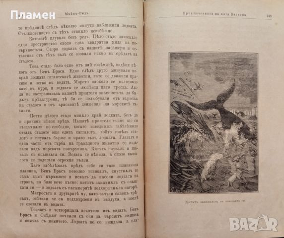 Приключенията на юнга Вилияма Майнъ Ридъ /1899/, снимка 4 - Антикварни и старинни предмети - 45960551