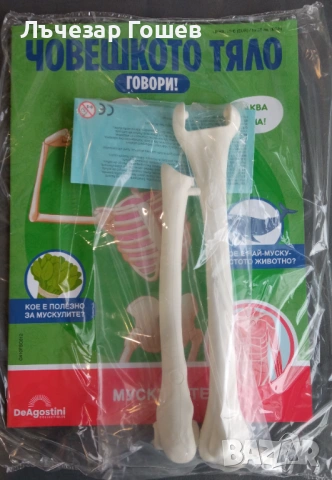 Човешкото тяло говори брой 9,10,11,12 и 13.брой., снимка 3 - Колекции - 52217108