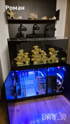 Аквариум Redsea Reefer 420 xl v1, снимка 4 - Аквариуми - 51072688