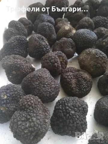 трюфели , снимка 4 - Други - 48261842