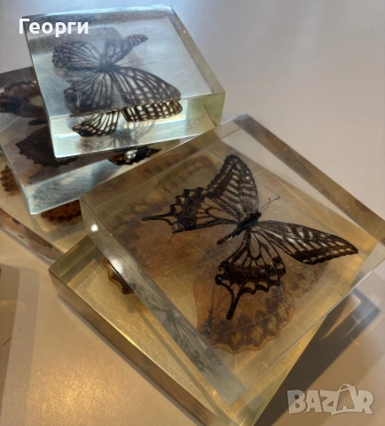 Пеперуди, снимка 8 - Колекции - 53656258