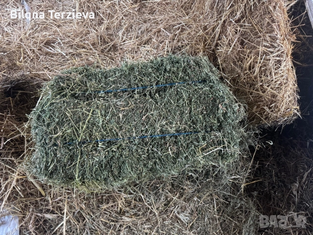 Бали сено и лицерна, снимка 2 - За селскостопански - 53881747