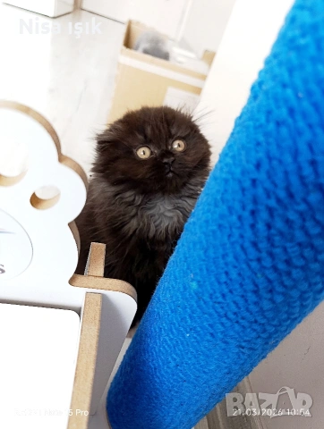 не е красива тя е уникална в Хасково