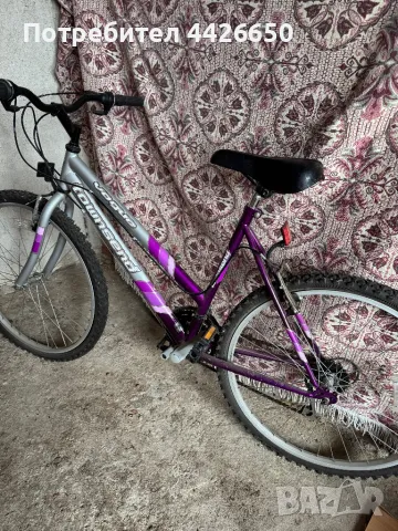 Велосипед Apollo Siren и Vogue Townsend, снимка 2 - Велосипеди - 49651610