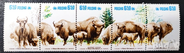 Полша, 1981 г., I лот - марки на теми личности, изкуство, балони, архитектура, лов, животни, тенис, снимка 14 - Филателия - 53306489