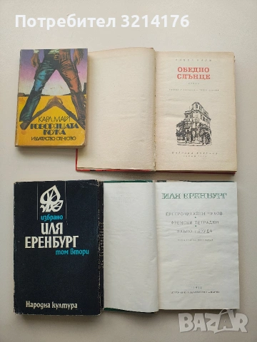 Обедно слънце - Алина Пайм