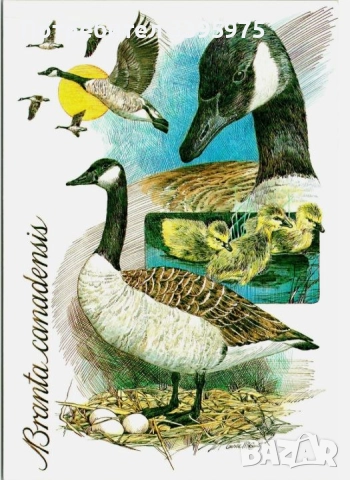 Канадска марка Кралица Елизабет II, нова, неизползвана и други, снимка 9 - Нумизматика и бонистика - 51436540