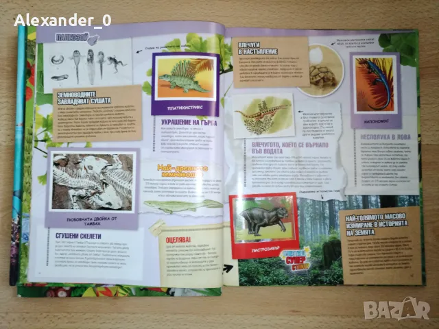 Billa Стикер албуми, снимка 2 - Колекции - 50186340