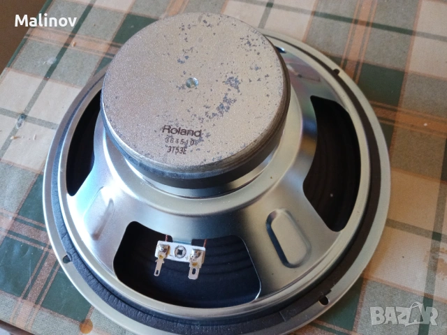 Китарен говорител Roland 10", снимка 2 - Китари - 53771728