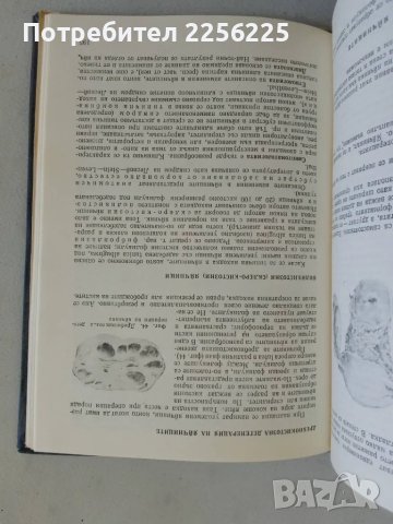 Гинекология, снимка 4 - Специализирана литература - 47490359