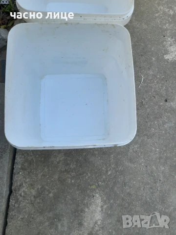 Кофи от сирене с капак, снимка 3 - Разсади - 50996117