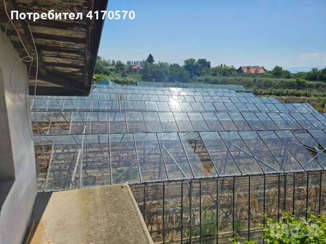 Продава се стъклена оранжерия, снимка 5 - Оранжерии - 51642468
