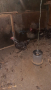 парцеланови кокошки, снимка 1 - Кокошки и пуйки - 45063749