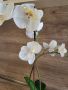 Изкуствена орхидея, снимка 2