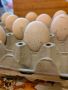 Продавам яйца от чернокрили пауни, снимка 2