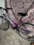 Велосипед Apollo Siren и Vogue Townsend, снимка 2