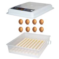 Люпилня, Автоматичен инкубатор MS-64 яйца (12V/220V) , снимка 8 - За птици - 45332731