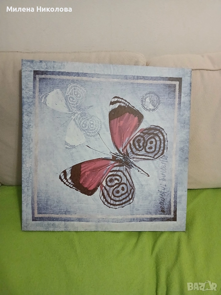 Картина пеперуда 50/50, снимка 1