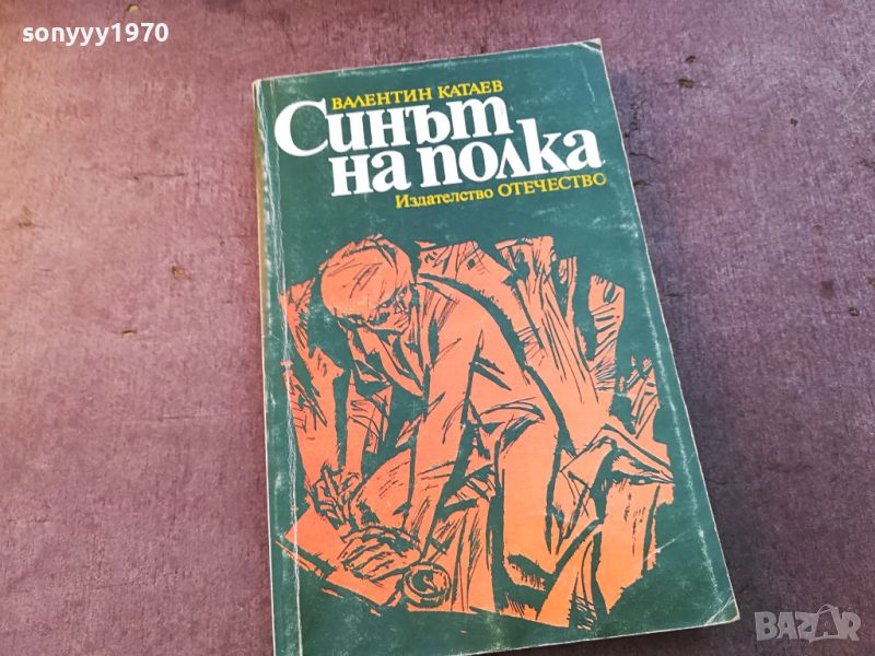 СИНЪТ НА ПОЛКА-КНИГА 0804241011, снимка 1