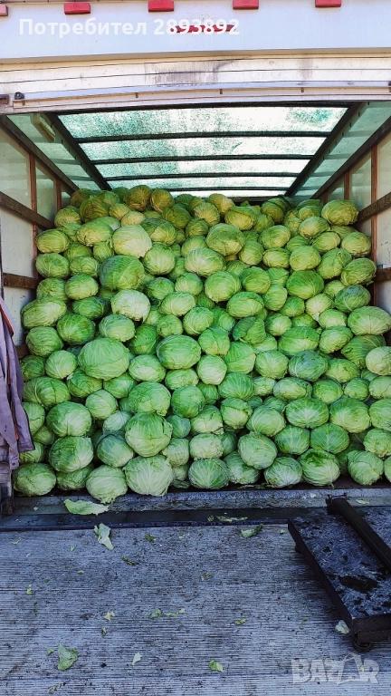 Продавам Марлу и кьосе  в с. Синитово, снимка 1