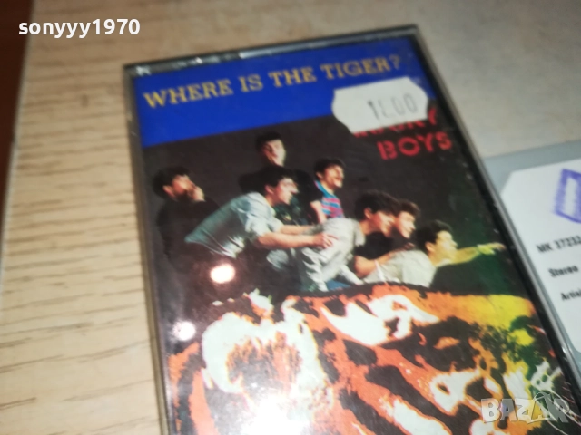 LUCKY BOYS-ORIGINAL TAPE 3011251915, снимка 7 - Аудио касети - 52595296