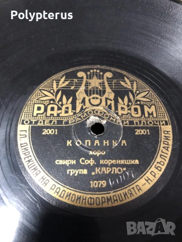 Стара българска шеллакова плоча, снимка 2 - Грамофонни плочи - 53532805