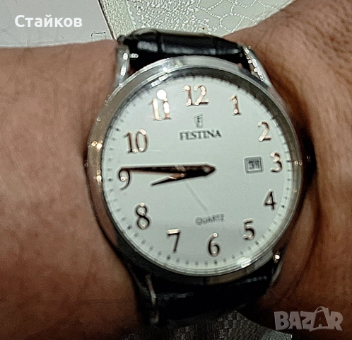 Мъжки часовник Festina - F16520/3 - Класически, снимка 4 - Мъжки - 54044575