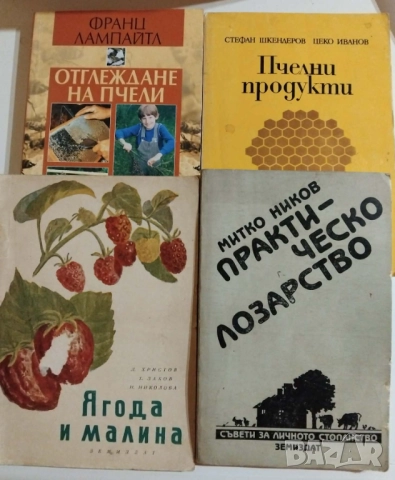 Селско стопанство 